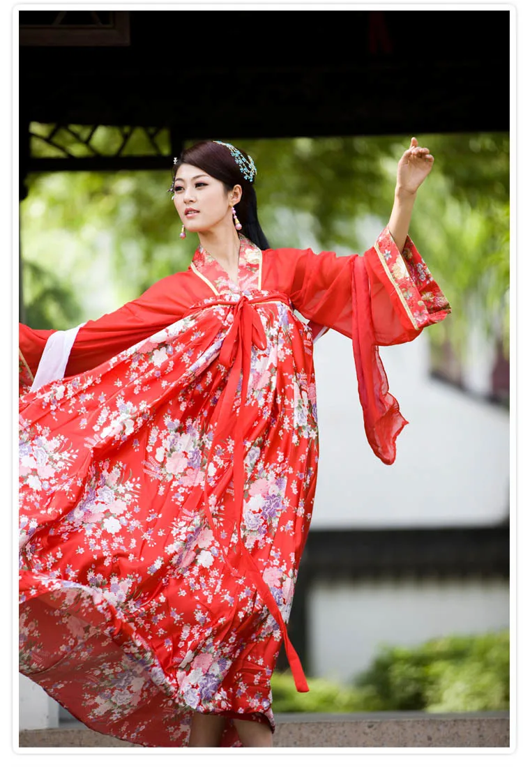 New Chinese Ancient Clothing Hanfu Skirt Hanfu Women's Skirt Costume Hanfu Double-breasted Dress