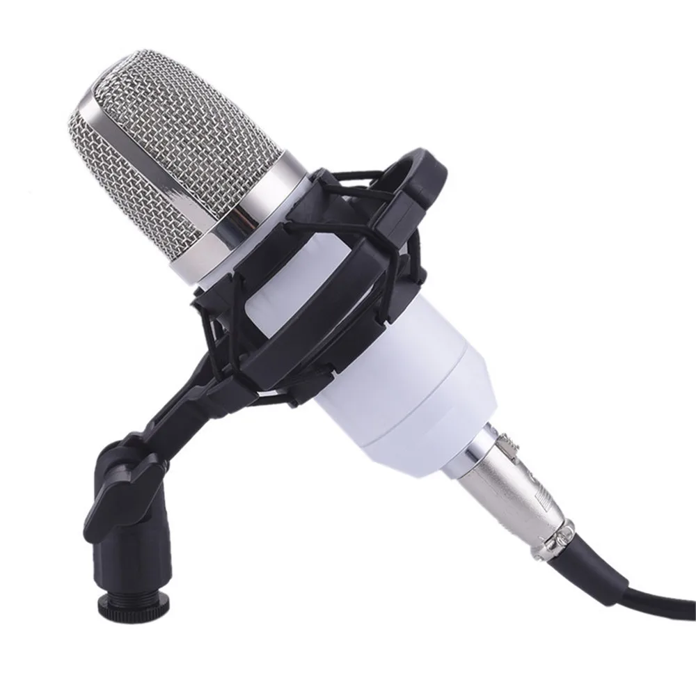Оригинальный профессиональный конденсаторный микрофон BM700 KTV Cardioid Pro Audio Studio Vocal