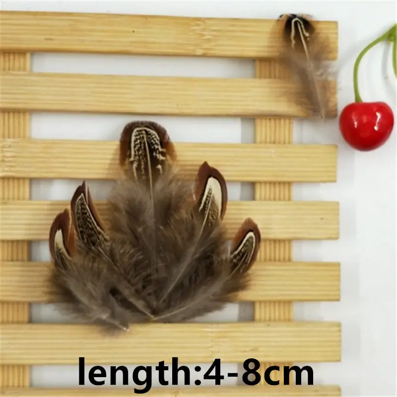 10 шт./лот высококачественные натуральные перья фазана Куриные шлейф Diy Ювелирные