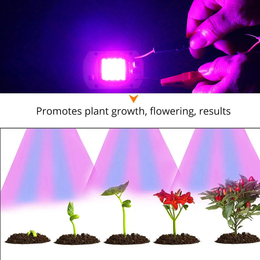 LED Grow COB Chip Phyto Lamp полный спектр AC220V 20 Вт 50 100 для комнатного выращивания растений и