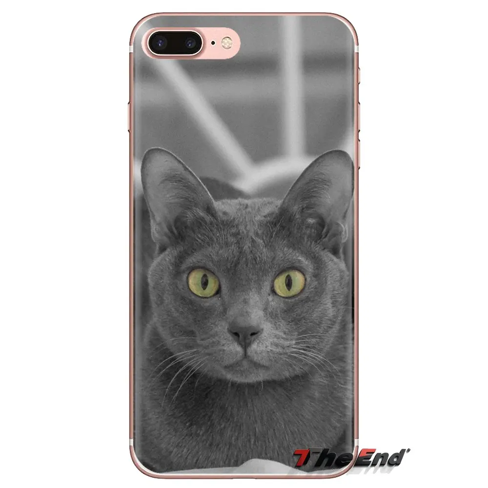 Soft TPU Phone Case pet russian blue cat green eyes For Xiaomi Mi4 Mi5 Mi5S Mi6 Mi A1 A2 5X 6X 8 9 Lite SE Pro Max Mix 2 3 2S |