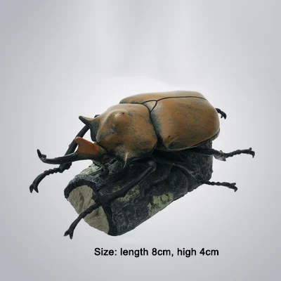 Megasoma elephus 11 шт., насекомые, японский носорог, жук, олень, жук, карманный червь, модель животного, фигурка, Детские коллекционные игрушки - Цвет: Megasoma elephus
