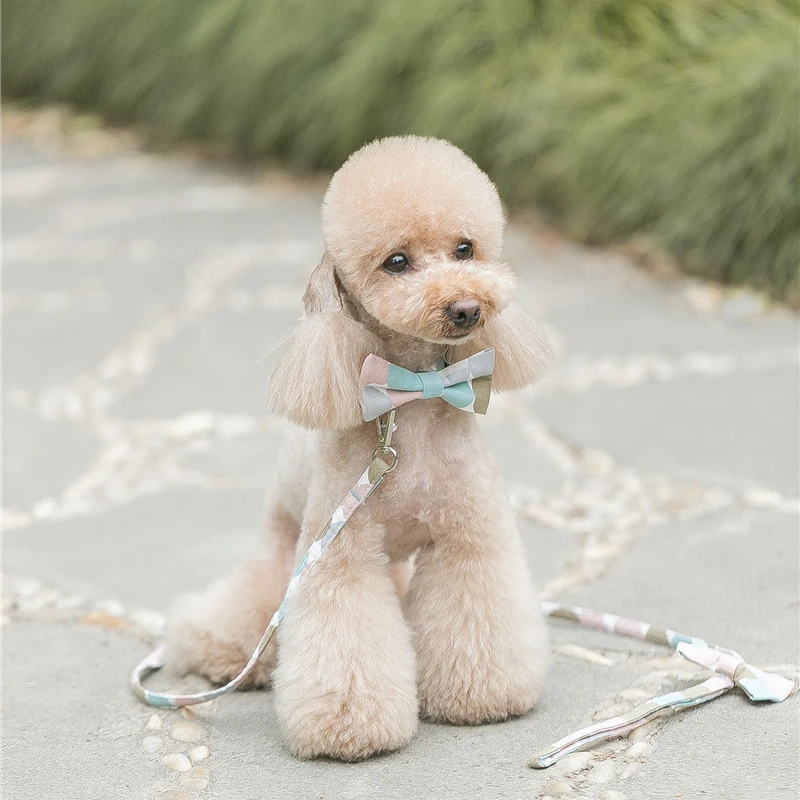 Набор шлейки и поводка для собак шлейка маленьких щенков красивые товары