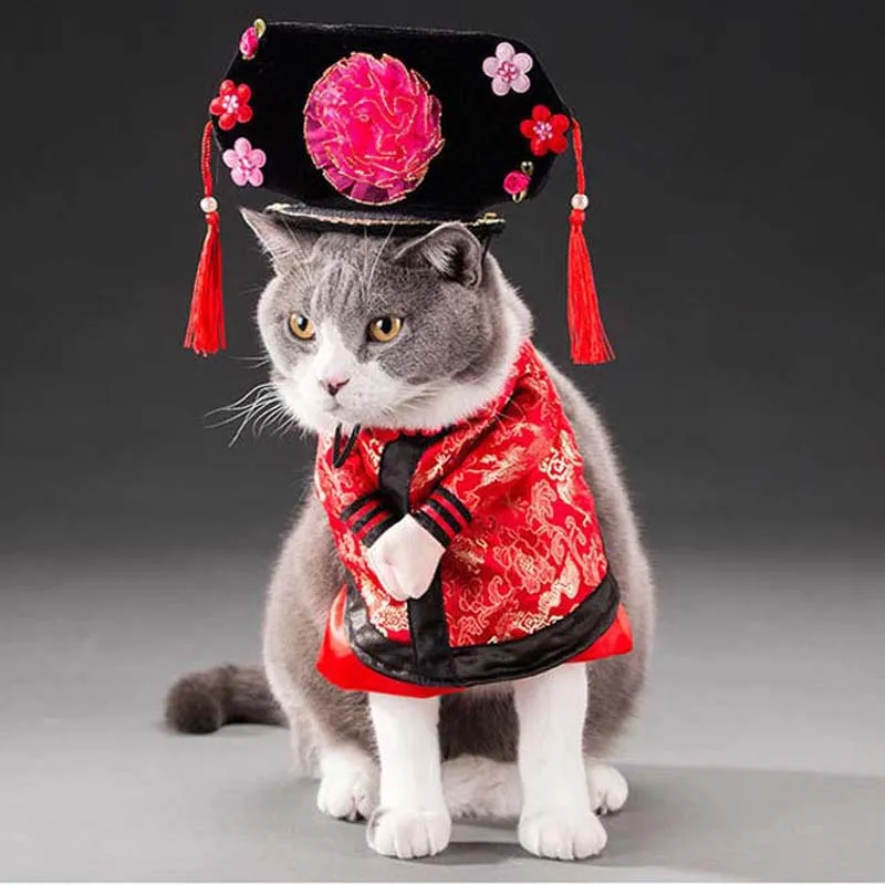 2019 новогодний костюм одежда для кошки китайский Тан пальто Забавный стоячий