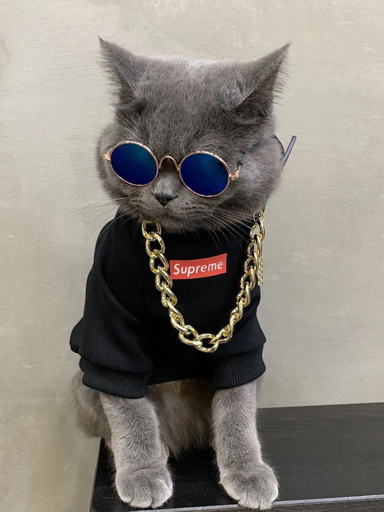 Худи с кошкой Одежда для кошек собак Ropa Para Gato одежда щенков теплая толстовка