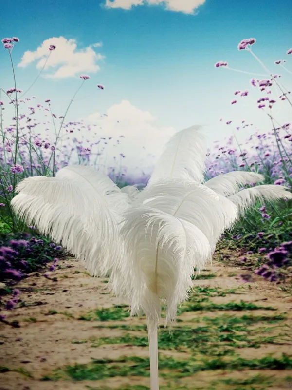 Оптовая продажа 100 шт. высококачественные натуральные белые перышки страуса 18 20