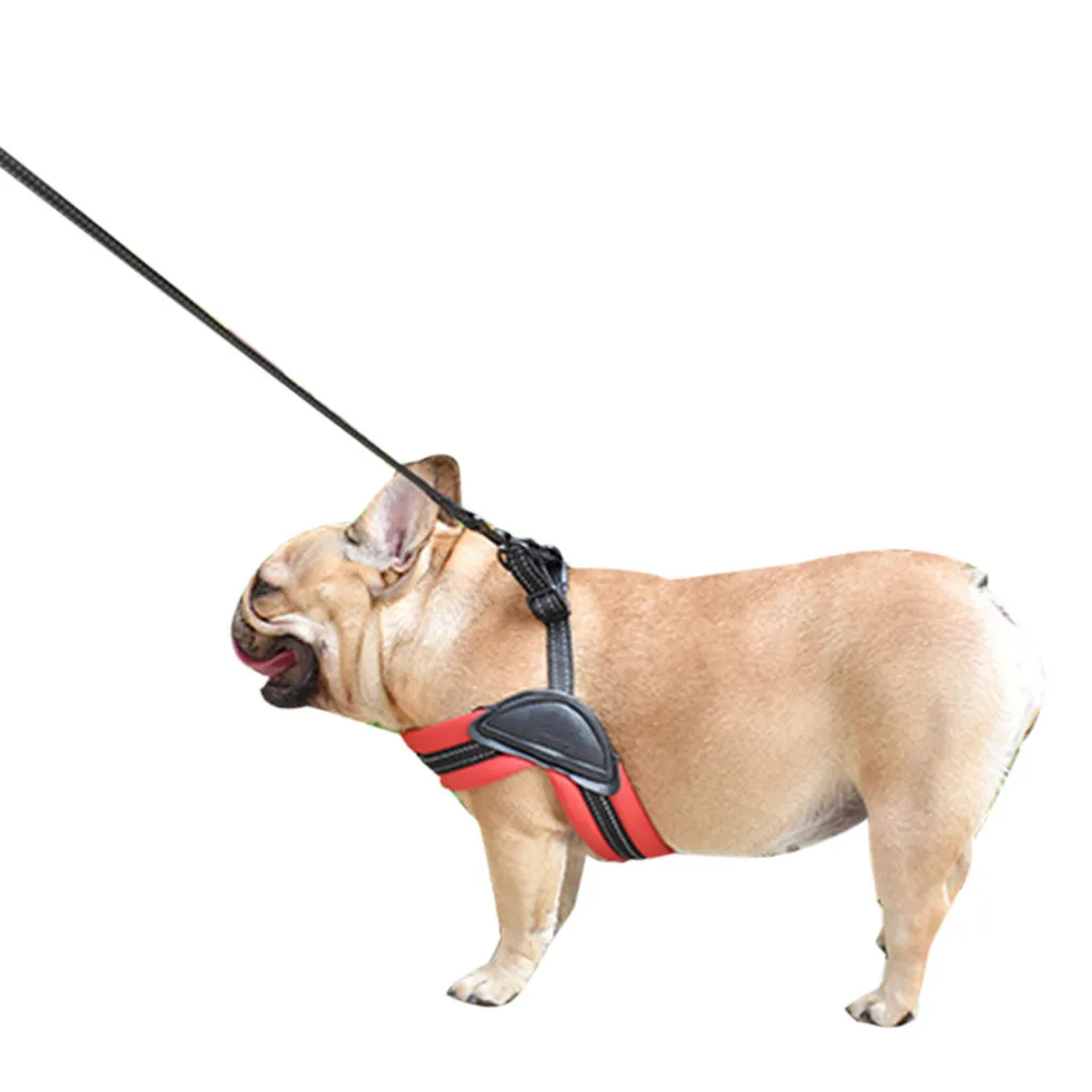 Шлейка для собак Trsnser светоотражающая поводок домашних питомцев регулируемый