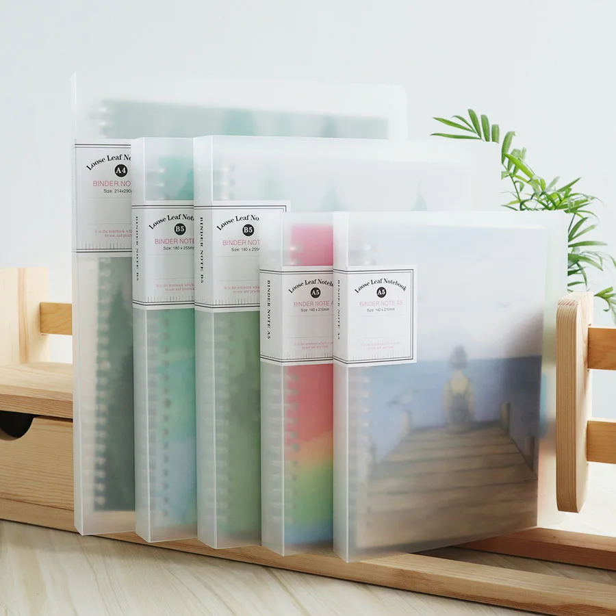 Записная книжка на спирали A4/B5/A5 цвет в ассортименте|kawaii spiral notebook|plan notebookagenda organizer