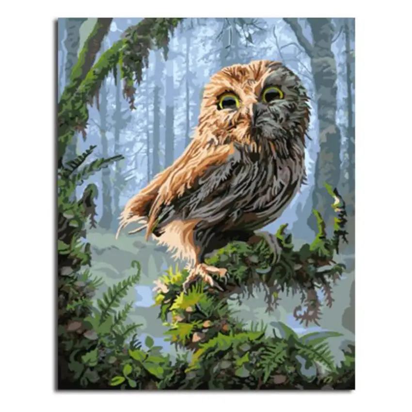 owl painting 33 RIHE рамка животное Сделай Сам краска по номерам Акриловая Краска на холсте Абстрактная олень ручная краска ed масляная краска для домашнего декора 40x50 см - Цвет: owl painting 33