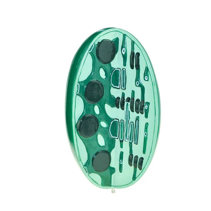 Структурная модель Chloroplast мезофильные клетки микроструктура научный и