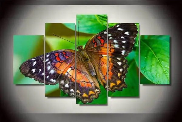 Hd Печать Красочная бабочка Картина на холсте украшение комнаты печать плакат