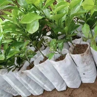 size 1616 200 pcs plant fiber nursery pots seedling raising bags garden supplies can degrade environmental protection