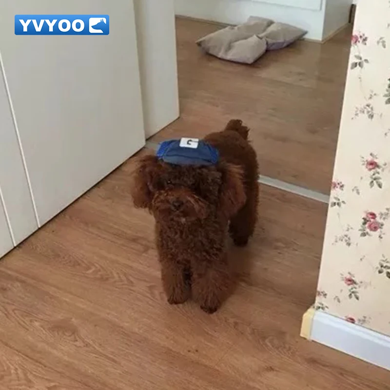 Красивая дизайнерская бейсболка YVYOO Удобная дорожная шляпа от солнца