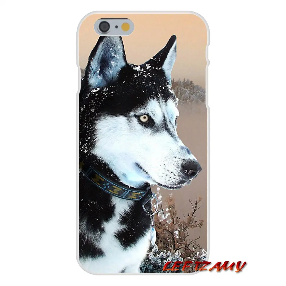 Аксессуары чехлы для телефонов Alaskan Malamute Siberian husky dog Samsung Galaxy A3 A5 A7 J1 J2 J3 J5 J7 2015 2016 2017 |