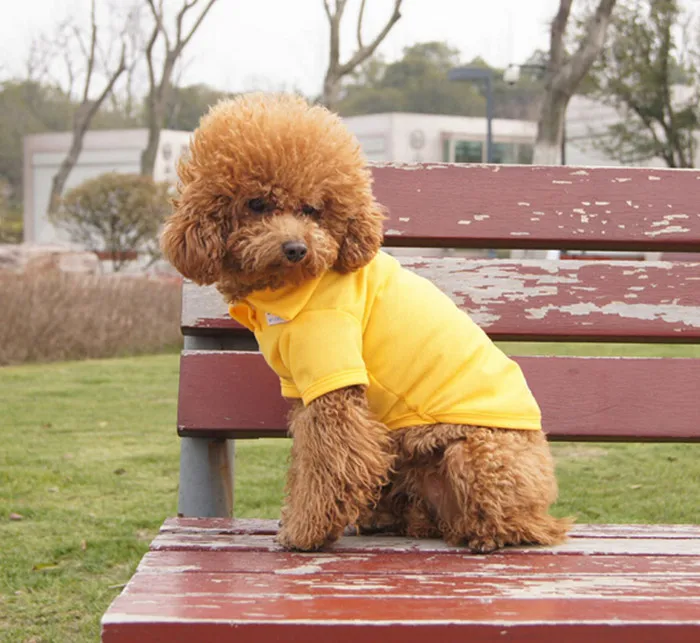 Hot sale Newest high quality polo shirt cute clothing goods for animal puppy dog 2014 summer free shipping | Дом и сад