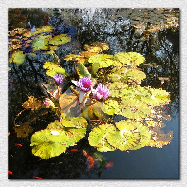 

Hot sale wall decorations beautiful summer photo picture print of Lotus pond with lotus flowers fine living room art
