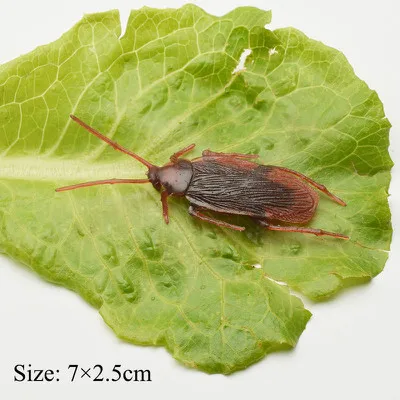 Cockroaches big Моделирование бутафорский таракан змея мухи муравья ящерица Зеленый Жук реалистичный Забавный розыгрыш Шутка игрушки для апреля Дурака день Хэллоуин - Цвет: Cockroaches big