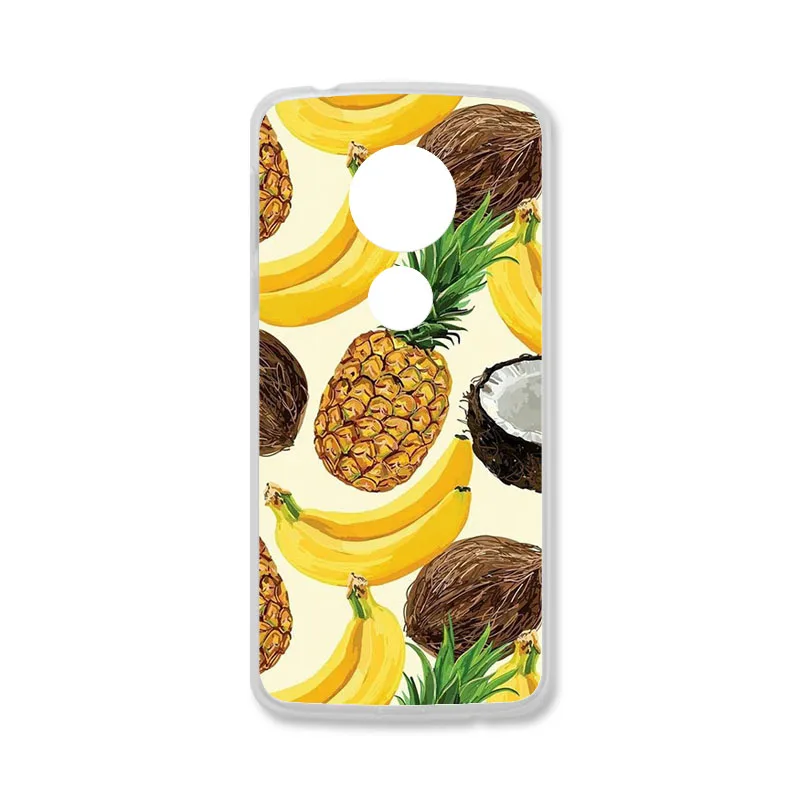 TAOYUNXI Мягкий ТПУ чехол для Motorola Moto G6 Play чехол s для Moto E5 Moto E(5th Gen.) 5,7 дюймов DIY окрашенные защитные чехлы - Цвет: J091