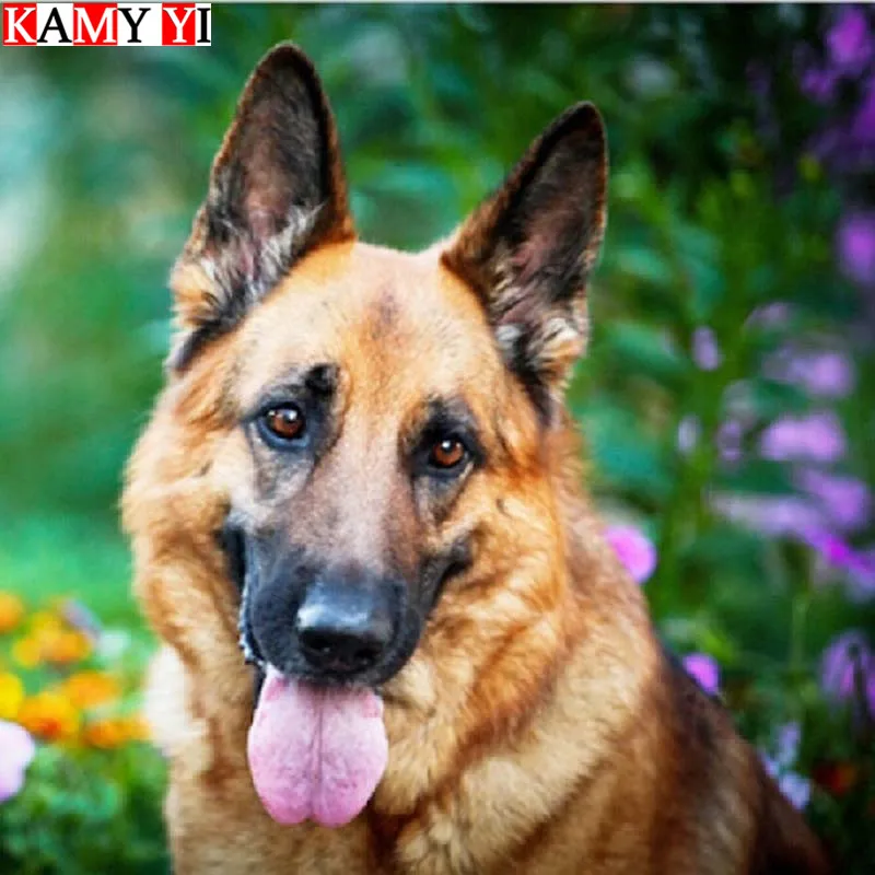 

KAMY YI Full Square/Round Drill 5D DIY Diamond Painting"Animal do'g"Mosaic Stitch Diamond Embroidery Home Decor Gift HYY