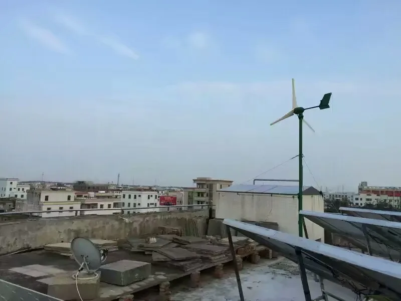Новый Горизонтальный генератор ветряной турбины 1 кВт 1000 Вт ветряная мельница