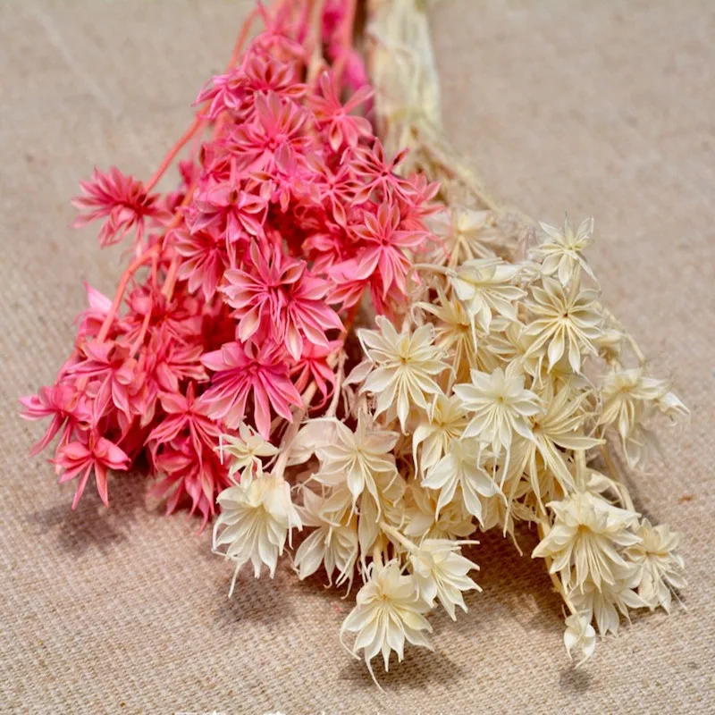 Восьмиугольные цветы черная трава сухие букеты вспомогательные материалы с