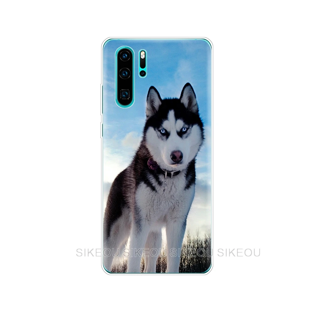 33650 Чехол s для huawei P30 Pro Чехол huawei P30Pro силиконовый чехол ТПУ задняя крышка для телефона на huawei P30 Pro VOG-L29 ELE-L29 P 30 Lite чехол - Цвет: 33650