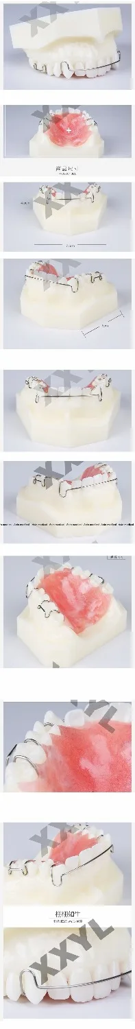 

High Quality 1 Pcs Dental Orthodontic Appliance Model With Teeth Trainer Retainer Braces Teaching and Science
