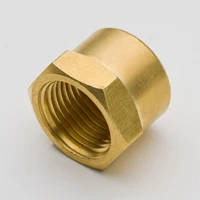 50PCS Brass Pipe Fitting Hex Head End Cap1/8" 1/4" NPT Female Thread Plumb Water Gas Tube Connector Accessory
