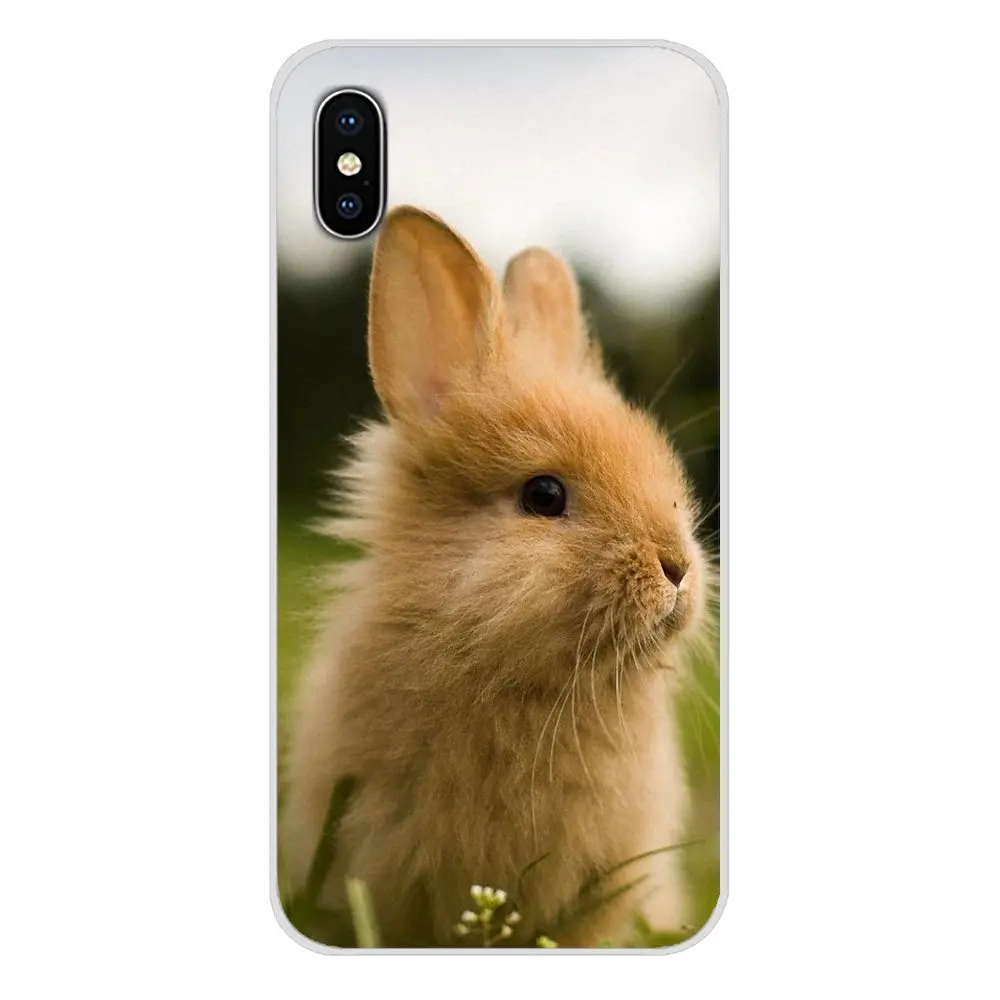 Смешной кролик с милыми животными для htc один U11 U12 X9 M7 M8 A9 M9 M10 E9 Plus Desire 630 530 626 628 816 820