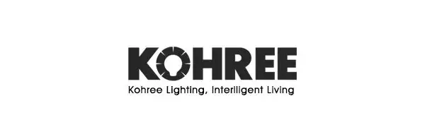 Kohree 10 м 100 светодиодов USB светильник s, 16 цветной Сказочный светильник с пультом дистанционного управления, Рождественский праздничный светильник ing Декор