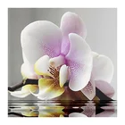 Алмазная 5D картина сделай сам, вышивка крестиком с розовыми цветами, мозаика, домашний декор, WZ