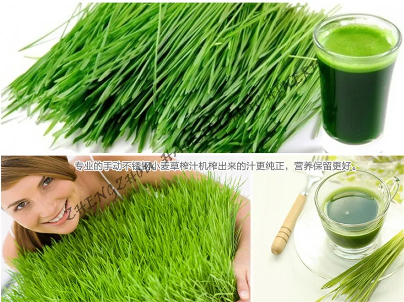 Новинка 2015 компактная портативная ручная соковыжималка высокого качества для