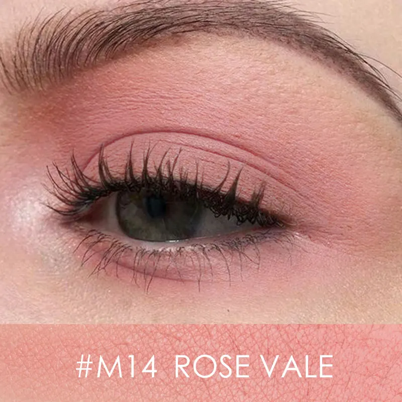 M14 Focallure matte одиночные тени для век профессиональные высококачественные пигментированные тени для век телесный легко носить матовые тени для век - Цвет: M14