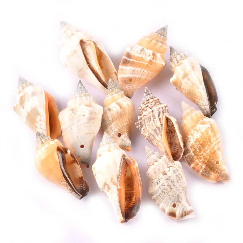 5 шт. натуральные ракушки для подвесок|Ракушки и морские звезды| |