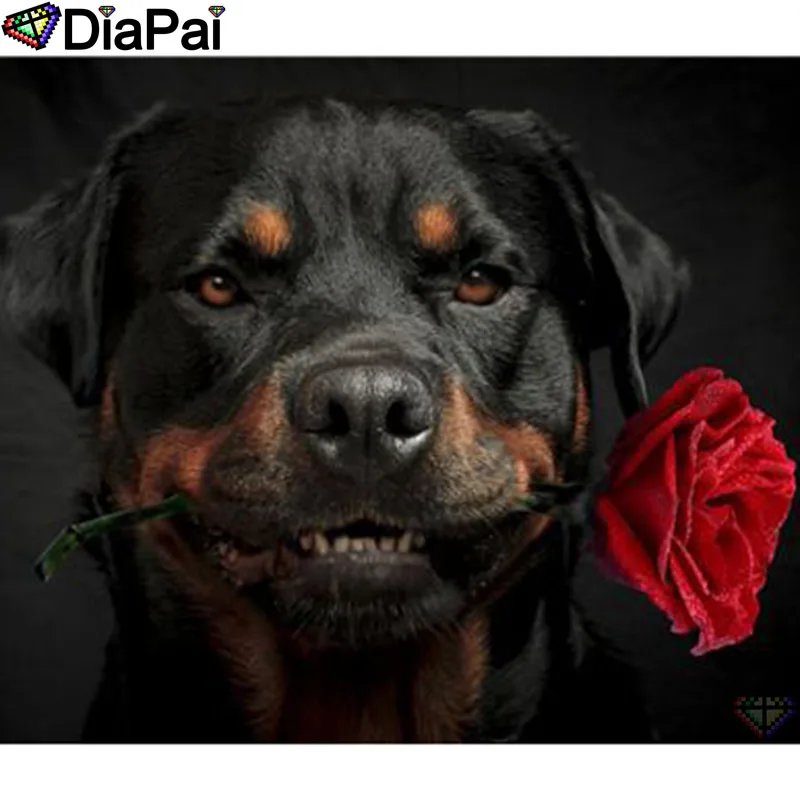 

DIAPAI 5D DIY Diamond Painting 100% Full Square/Round Drill "Animal dog flower" Diamond Embroidery Cross Stitch 3D Decor A22094