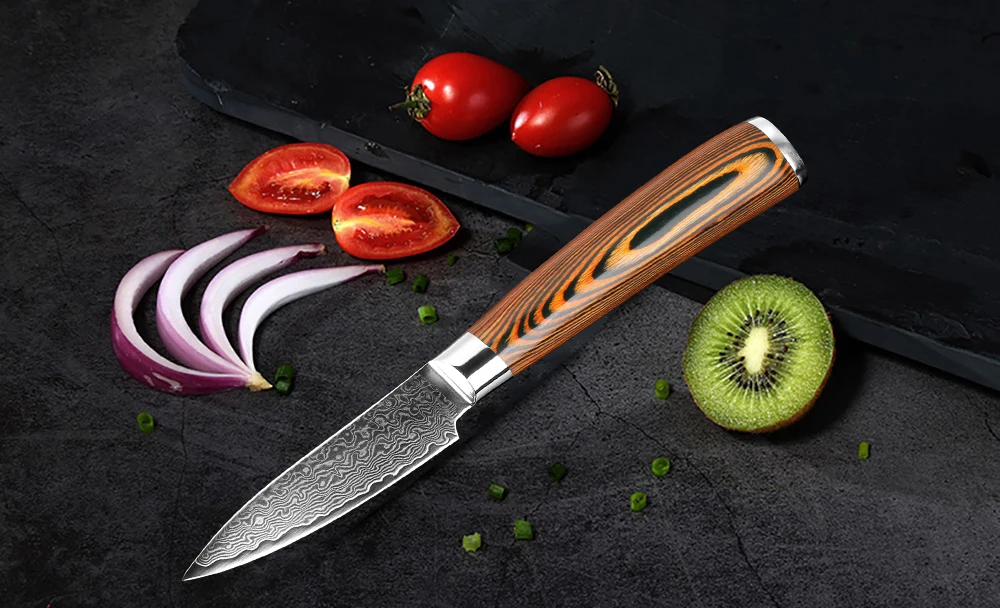 

XITUO Chef Knife Damascus Bone Knife Utility Japan vg10 Malaysia Kitchen Knife Utility Micarta Handle Professional Kitchen Knife