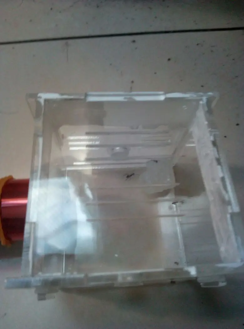 2018 Ant Bamboo Design Nest Pet Acrylic Home Workshop Student Eductional DIY Toys Scientific Observation Class Device Toy | Игрушки и