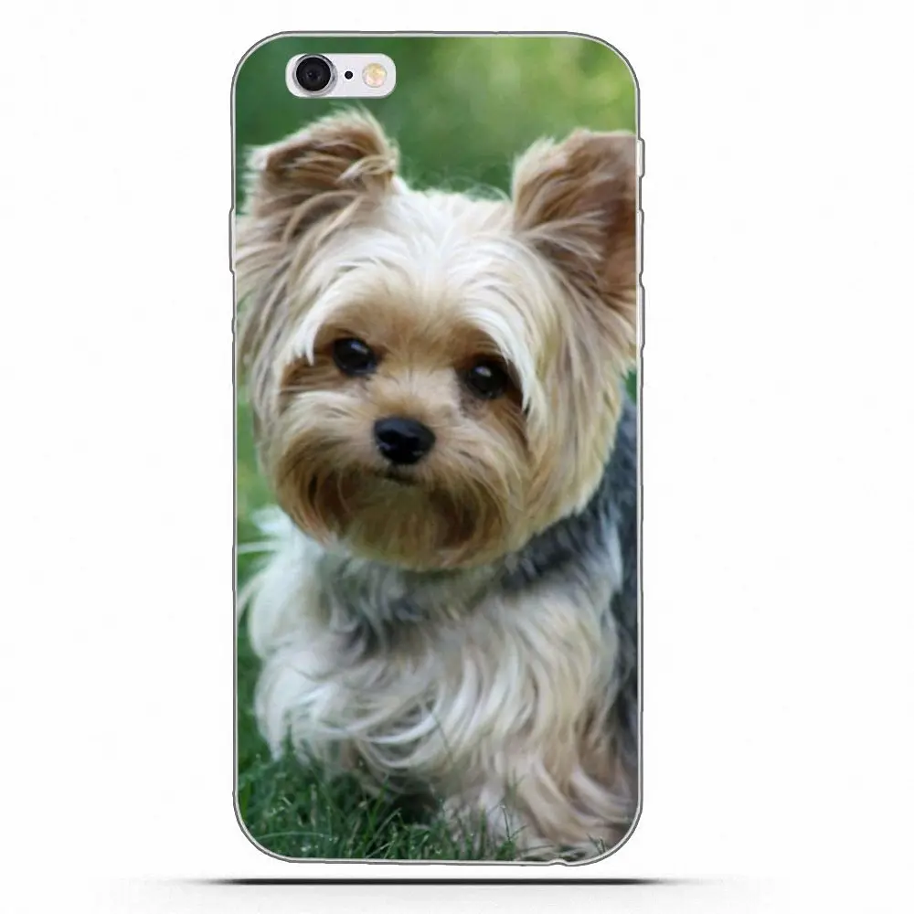 Чехлы для HTC Desire 530 626 628 630 816 820 One A9 M7 M8 M9 M10 E9 Plus U11 Moto G G2 G3 щенок йоркширского терьера