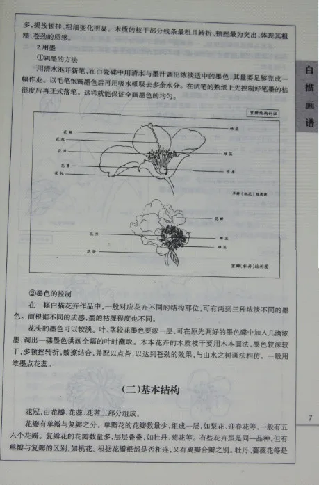 Китайская книга рисование линий для начинающих китайская птица цветок ландшафт