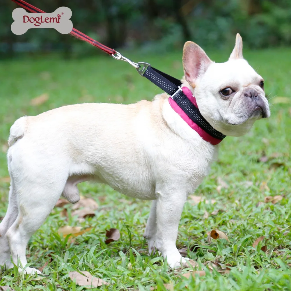 Нейлоновый тренировочный собачий ошейник Martingale светоотражающий мягкий с