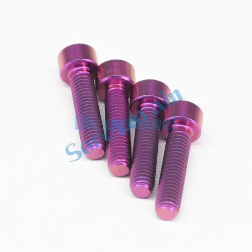 4pcs M6 x 25mm Purple TC4 GR5 Titanium Alloy Allen Hex Screw Column Head Bolts For Bicycle | Обустройство дома