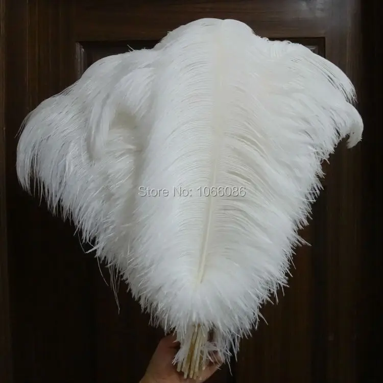 

EMS Free Shipping! 150pcs/lot 55-60cm 22-24inch Top quality White ostrich feathers ostrich plumages plumes