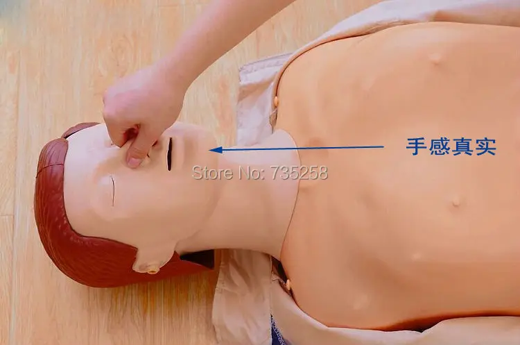Модель CPR модель компьютерного контроля Учебная первой помощи|cpr model|first aid trainingcpr