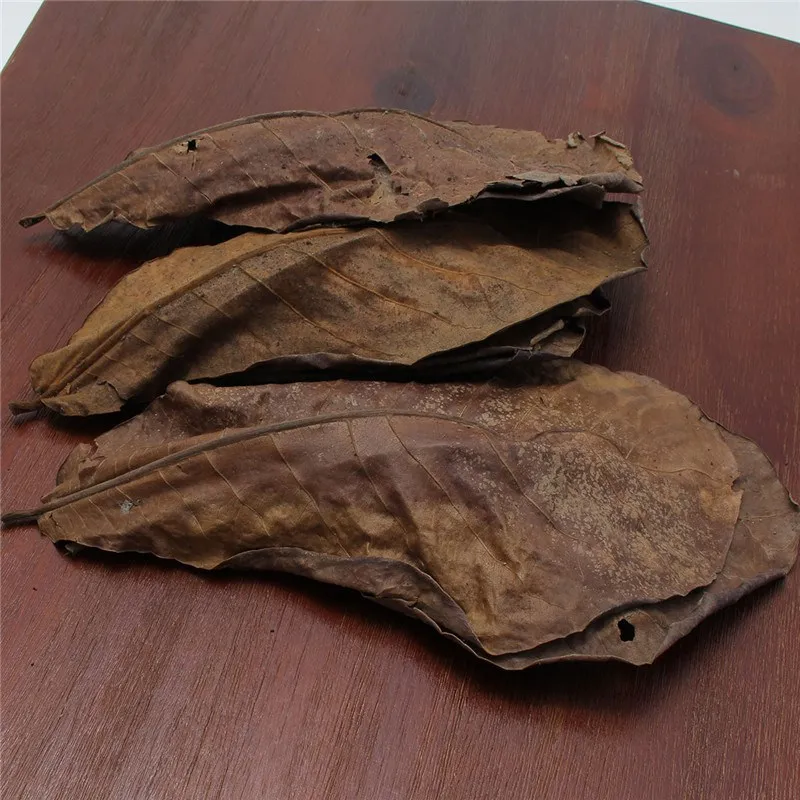 Резервуар для очистки и лечения рыб 50 шт.|Углеродное оборудование| |