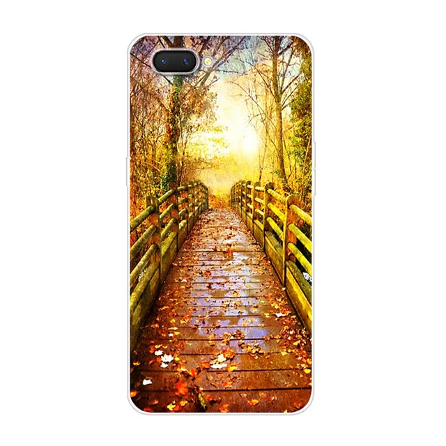 39 6,2 ''для Oppo A3S чехол силиконовый мягкий TPU чехол для телефона Oppo A3S A 3 S/Oppo A5 чехол OPPOA5 картина тонкий Para животное - Цвет: 39
