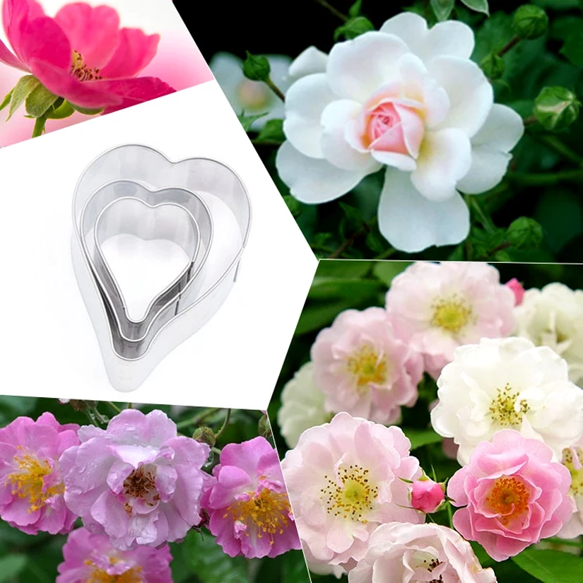 

3 pcs/set Rosa Multiflora Petals Cutters Set Stainless Steel Cookie Fondant Cake Cutters Cake Decorating Tools