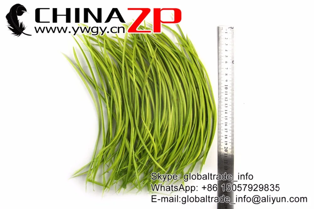 Гусиное перо CHINAZP 20-25 см (8-10 дюймов) гладкая розничная упаковка зеленые гусиные