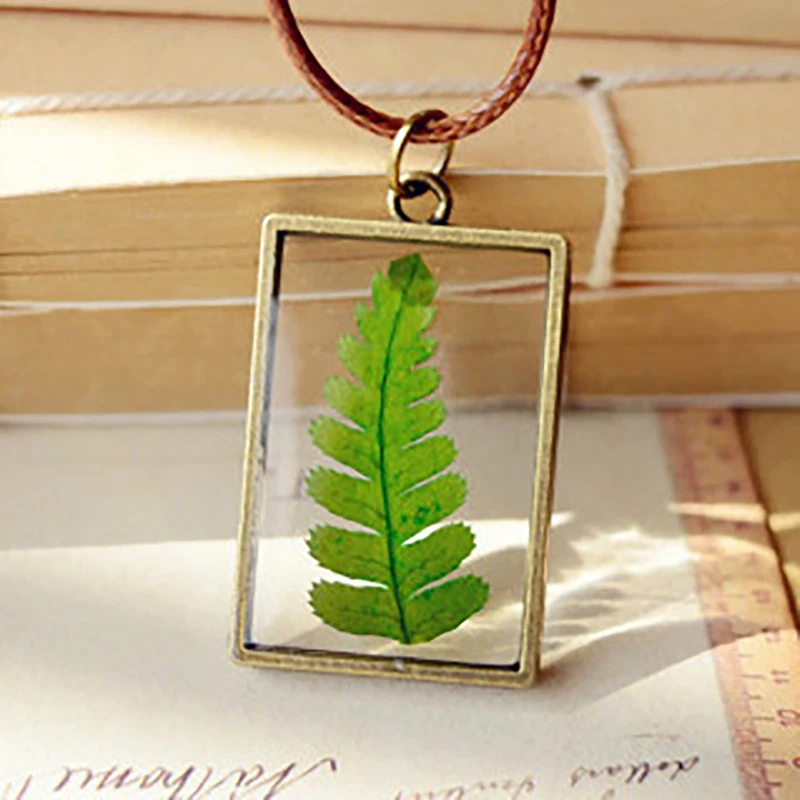 Ручной работы Pteridophyte с лечебным действием образцы Кристалл Террариум