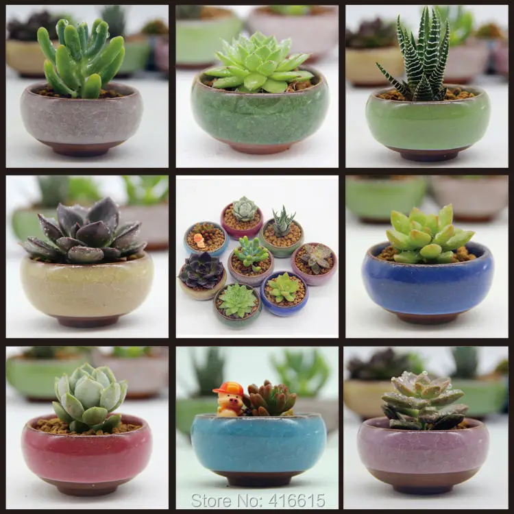 

8Pcs/Lot Microlandschaft Mini Succulent Plants Flowers Vase Flowerpot Terrarium Container Mini Bonsai Pots Ceramic Accessories