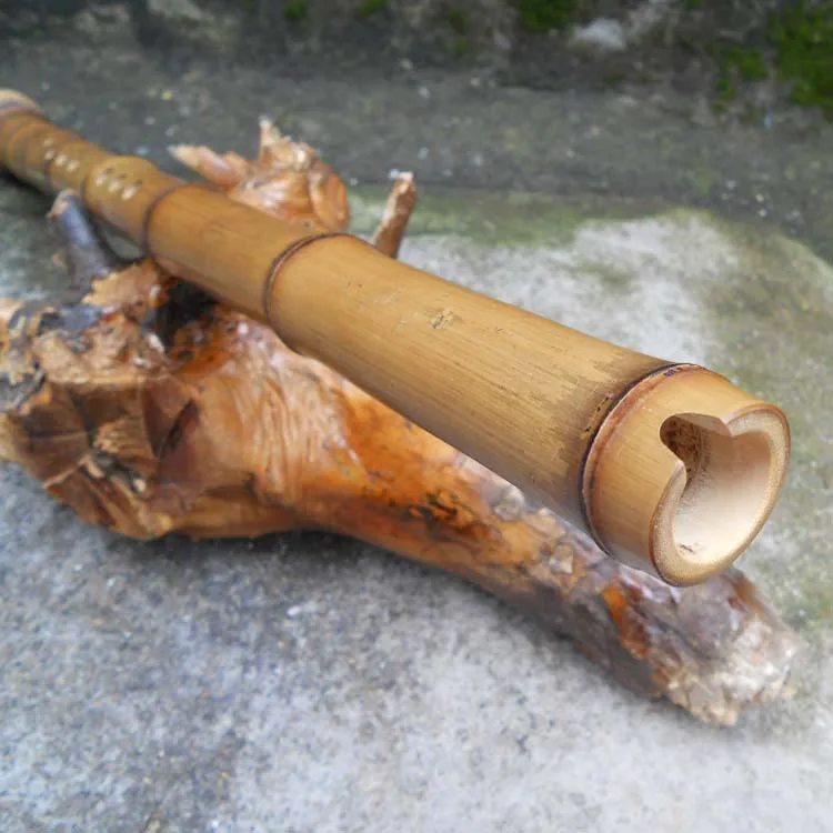 Китайский бамбуковый флейта Nan Xiao японский Shakuhachi G/F ключ вертикальный духовой Профессиональный музыкальный инструмент 8 отверстий Bambu Flauta